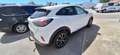 Ford Puma Titanium 1,0 EcoBoost Automatik Weiß - thumbnail 3