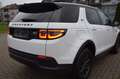 Land Rover Discovery Sport AWD*AHK*Autom*Mildhybrid Blanco - thumbnail 7
