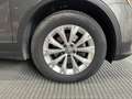 Volkswagen Tiguan 2.0 TDI 4Motion Business 150cv Grigio - thumbnail 5
