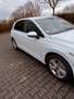 Volkswagen Golf VW Golf 8 2.0 TDI Weiß - thumbnail 14