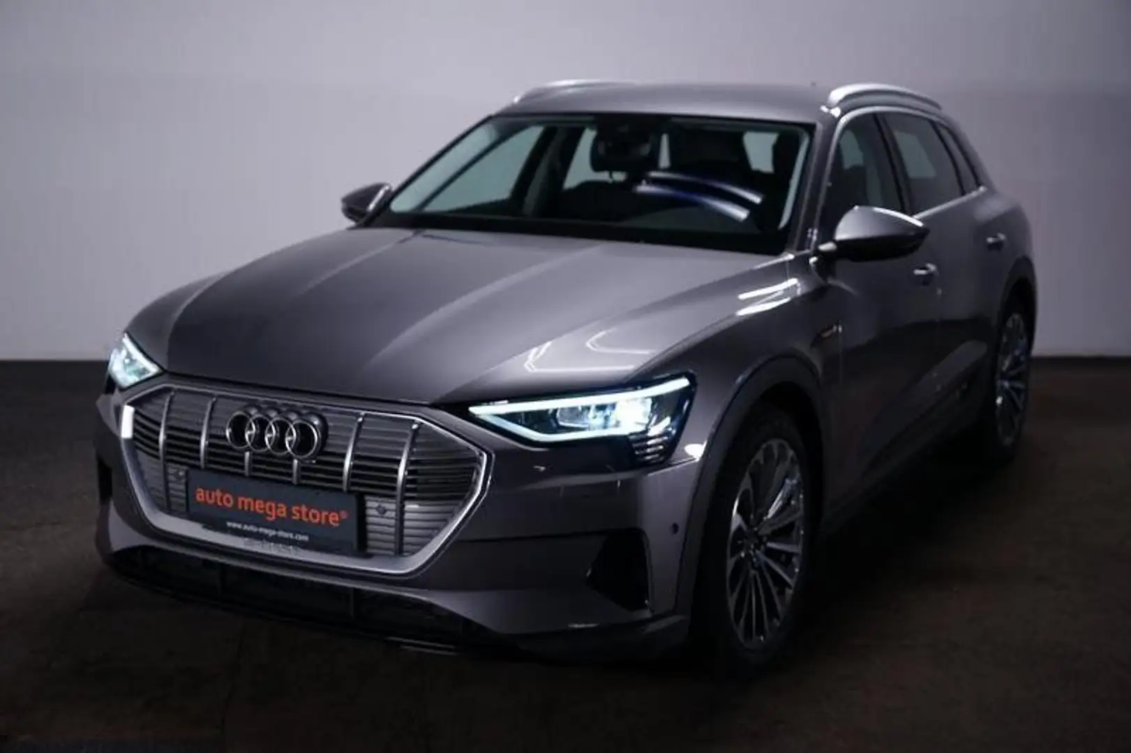 Audi e-tron 55 quattro 55 Basis Kamera/ACC/KeyLess/LE Grijs - 1