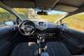 Ford Fiesta Fiesta 1.5 TDCi 75CV 5 porte Black & White Edition Blu/Azzurro - thumbnail 9