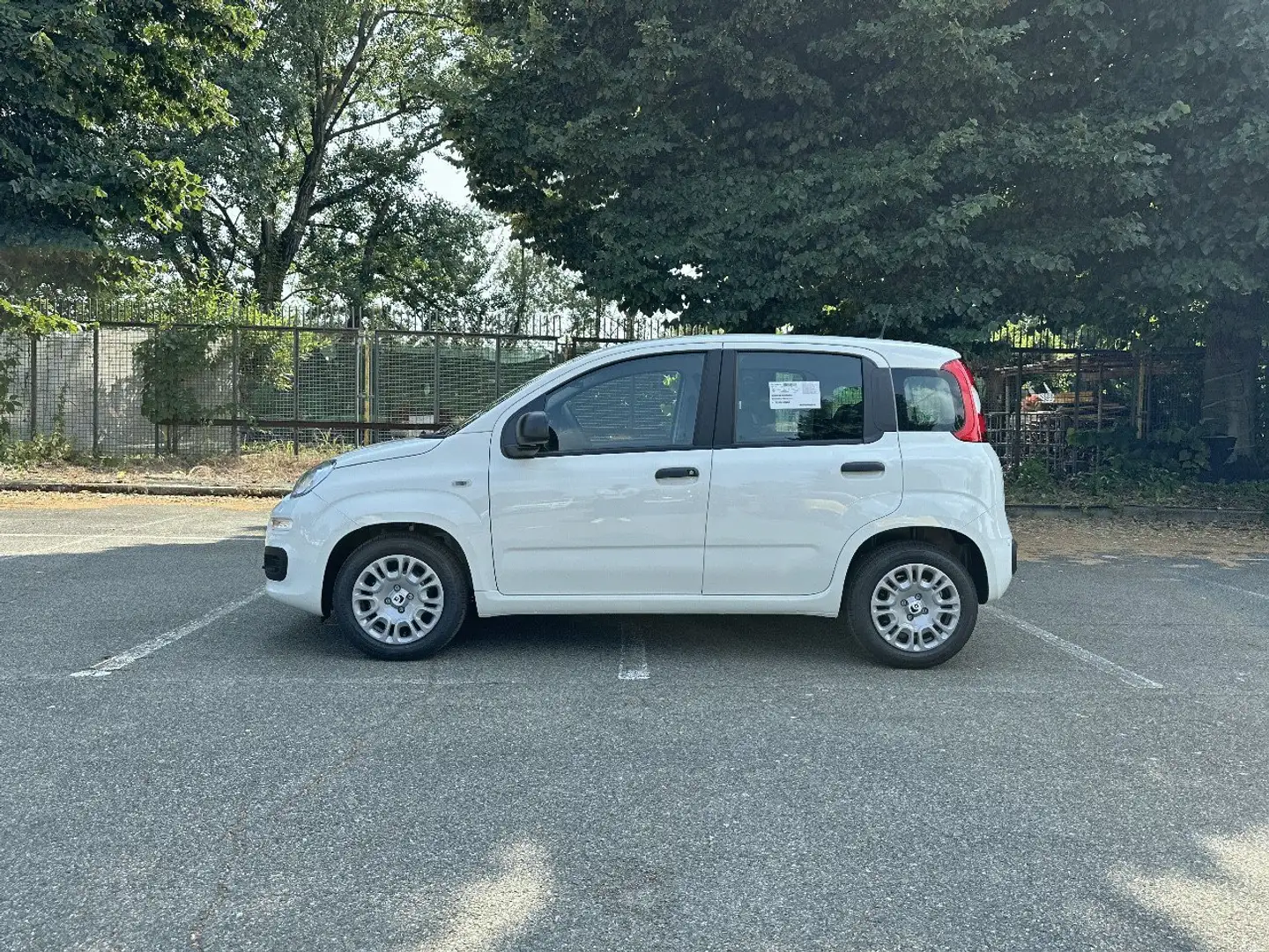 Fiat Panda 1.0 FireFly 70cv S&S Hybrid Bianco - 2