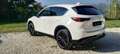 Mazda CX-5 2023 Homura Plus Pack TAGLIANDI MAZDA Bianco - thumbnail 4