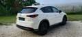 Mazda CX-5 2023 Homura Plus Pack TAGLIANDI MAZDA Bianco - thumbnail 6