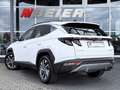 Hyundai TUCSON LED Panorama Spurhalte ACC ank.Spiegel Trend Mild Wit - thumbnail 3