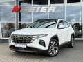 Hyundai TUCSON LED Panorama Spurhalte ACC ank.Spiegel Trend Mild Wit - thumbnail 2