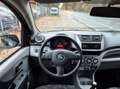 Suzuki Alto |2.Hand|HU-05.2027| Schwarz - thumbnail 14