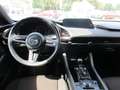 Mazda 3 Lim. 5-trg. Selection / Matrix-LED / BOSE Rouge - thumbnail 7