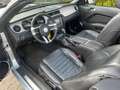 Ford Mustang 3,7L Cabrio  Xenon/Leder/Gr. Display Silber - thumbnail 12
