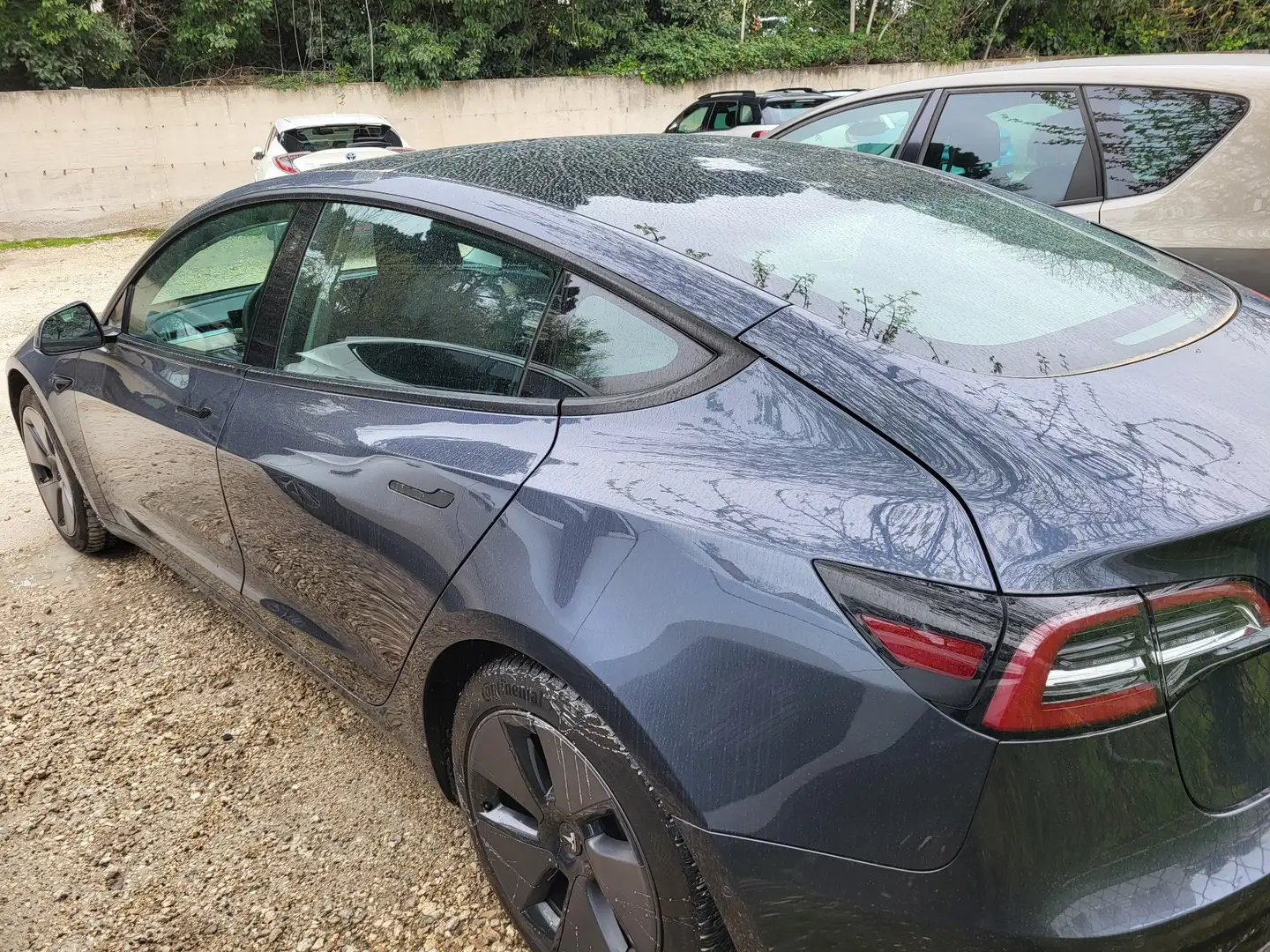 Tesla Model 3 Long Range Dual Motor awd - 2