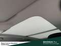 Skoda Karoq Style TSI DSG Pano Infotainment-Paket Amundsen Fah Grijs - thumbnail 15
