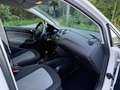 SEAT Ibiza Weiß - thumbnail 14