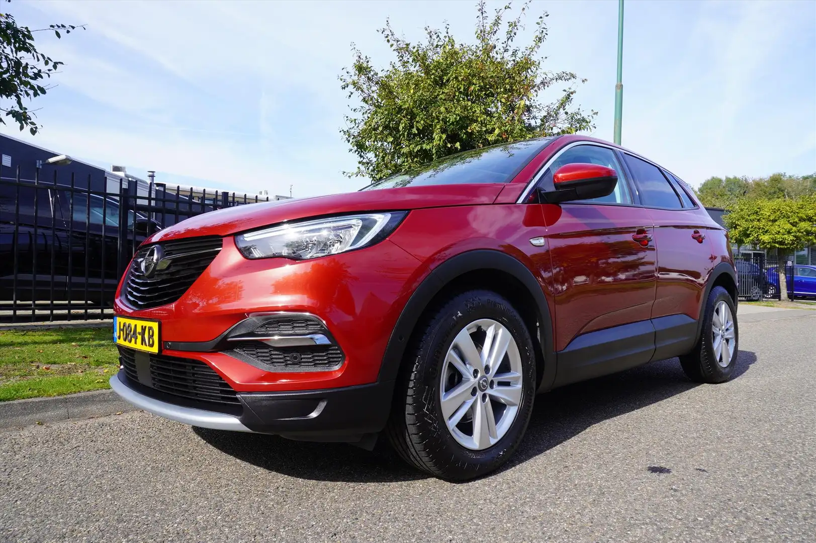 Opel Grandland X 1.2 Turbo 130pk S&S Business Executive Panoramadak Rouge - 1