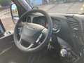 Iveco Daily 35 S 16 - CELLA FRIGO  ( -20° ) Blanc - thumbnail 13