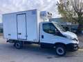 Iveco Daily 35 S 16 - CELLA FRIGO  ( -20° ) Blanc - thumbnail 1
