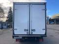 Iveco Daily 35 S 16 - CELLA FRIGO  ( -20° ) Blanc - thumbnail 6