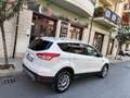 Ford Kuga 2.0 TDCI 163 CV 4WD Titanium PERFETTA Bianco - thumbnail 10