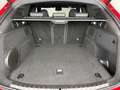 Alfa Romeo Stelvio Q4 Quadrifoglio // 100° Anniversario // 1 of 100 Rot - thumbnail 10