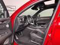 Alfa Romeo Stelvio Q4 Quadrifoglio // 100° Anniversario // 1 of 100 Rot - thumbnail 16