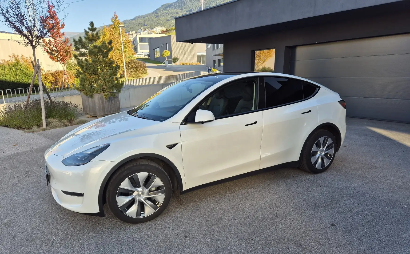 Tesla Model Y Long Range AWD 79kWh Weiß - 2