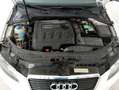 Audi A3 Sportback 1.6 tdi Young Edition 90cv Blanco - thumbnail 19