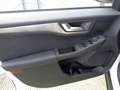 Ford Kuga 1.5 EcoBlue 120 CV 2WD Titanium Business Blanc - thumbnail 8