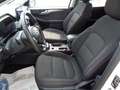 Ford Kuga 1.5 EcoBlue 120 CV 2WD Titanium Business Wit - thumbnail 9