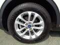 Ford Kuga 1.5 EcoBlue 120 CV 2WD Titanium Business Blanc - thumbnail 6