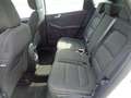 Ford Kuga 1.5 EcoBlue 120 CV 2WD Titanium Business Blanc - thumbnail 10