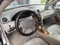 Mercedes-Benz CLK 270 Coupe cdi Elegance - thumbnail 9