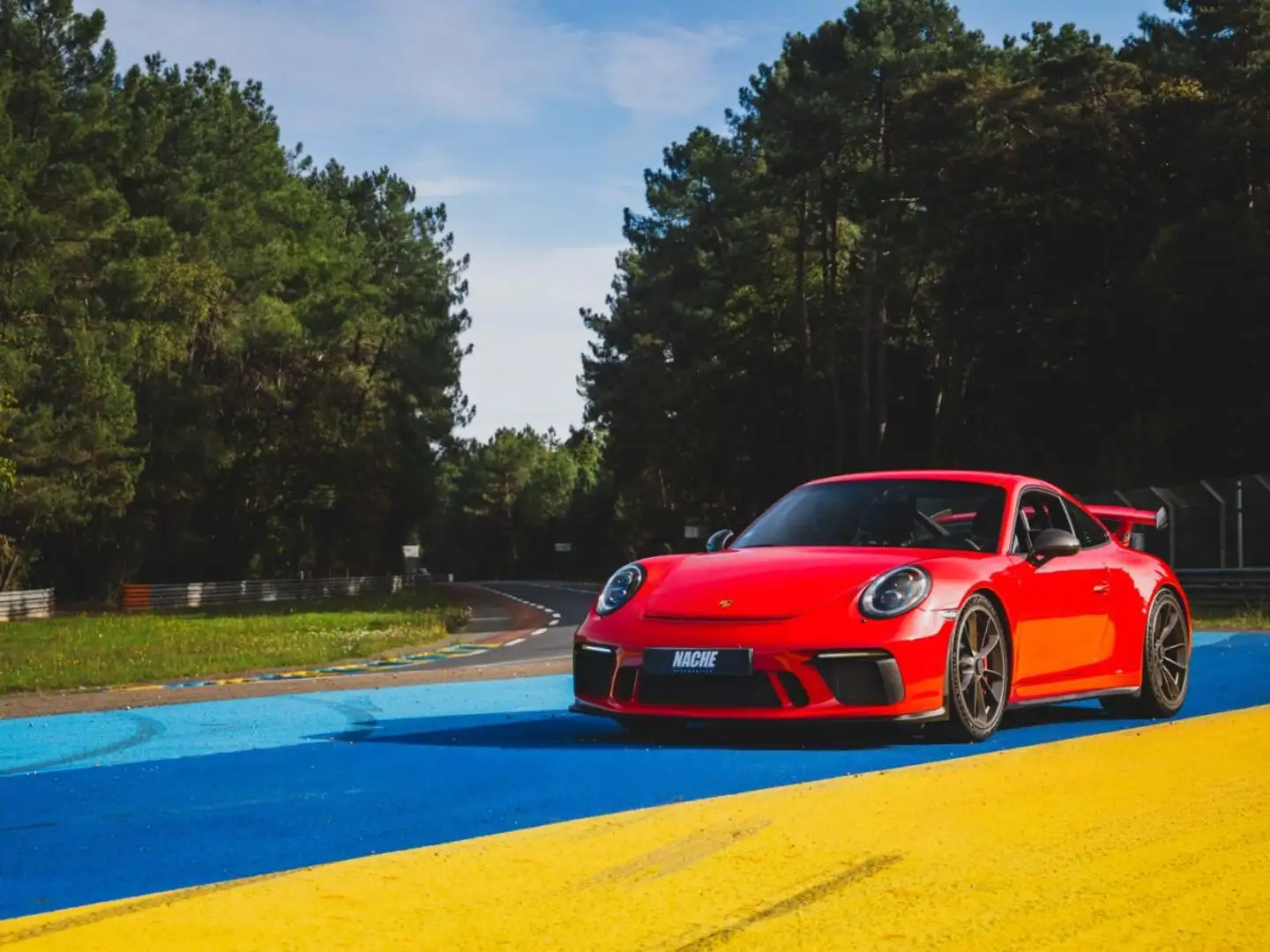 Porsche 991 Type 991.2 GT3 - 1