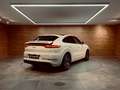 Porsche Cayenne E-Hybrid Blanco - thumbnail 35
