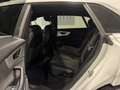 Audi Q8 45 TDI 231CV QUATTRO S-LINE Bianco - thumbnail 14