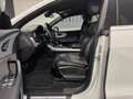 Audi Q8 45 TDI 231CV QUATTRO S-LINE Bianco - thumbnail 13