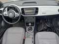 Volkswagen Beetle Cabrio 1,2 TSI CUP Sitzheizung Climatronic Alb - thumbnail 6