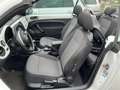 Volkswagen Beetle Cabrio 1,2 TSI CUP Sitzheizung Climatronic Alb - thumbnail 12