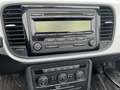 Volkswagen Beetle Cabrio 1,2 TSI CUP Sitzheizung Climatronic Alb - thumbnail 7