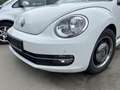Volkswagen Beetle Cabrio 1,2 TSI CUP Sitzheizung Climatronic Alb - thumbnail 3