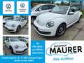 Volkswagen Beetle Cabrio 1,2 TSI CUP Sitzheizung Climatronic Alb - thumbnail 1