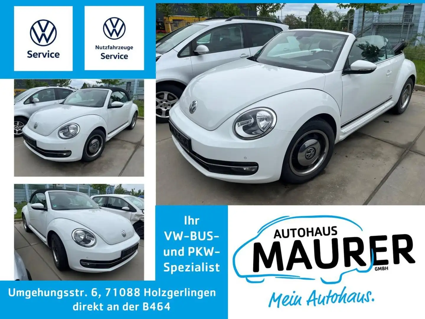 Volkswagen Beetle Cabrio 1,2 TSI CUP Sitzheizung Climatronic Alb - 1