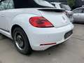 Volkswagen Beetle Cabrio 1,2 TSI CUP Sitzheizung Climatronic Alb - thumbnail 15