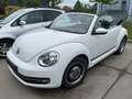 Volkswagen Beetle Cabrio 1,2 TSI CUP Sitzheizung Climatronic Alb - thumbnail 2