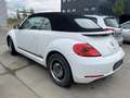 Volkswagen Beetle Cabrio 1,2 TSI CUP Sitzheizung Climatronic Alb - thumbnail 5