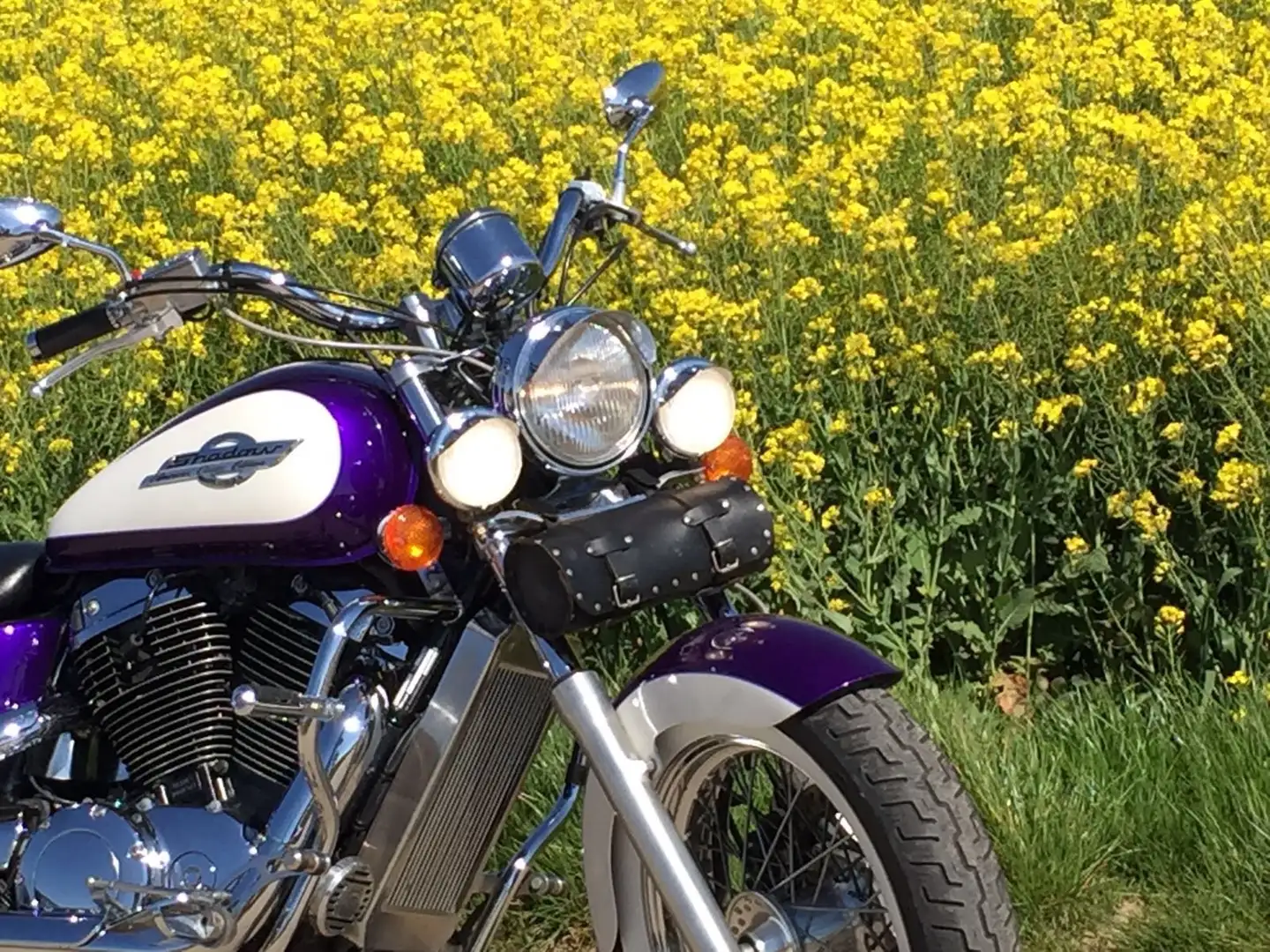 Honda VT 1100 VT 1100 C2 Fialová - 2