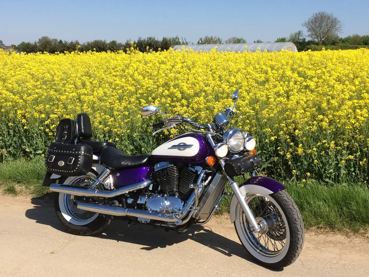 Honda VT 1100 VT 1100 C2 Fialová - 1