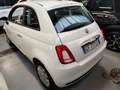 Fiat 500 1.0 Hybrid Pop Weiß - thumbnail 4