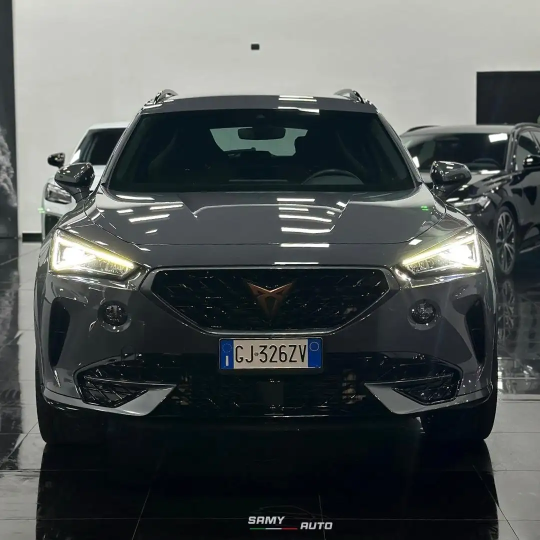 CUPRA Formentor 2.0 tdi 150cv Grigio - 1