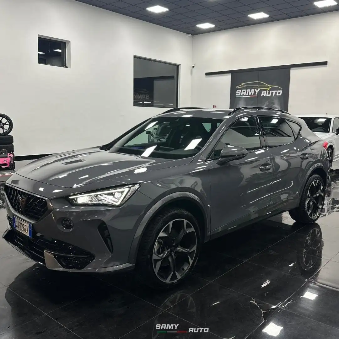 CUPRA Formentor 2.0 tdi 150cv Grigio - 2