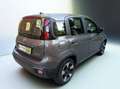 Fiat Panda Panda III 2023 Cross 1.0  hybrid City Cross 70cv Gris - thumbnail 5